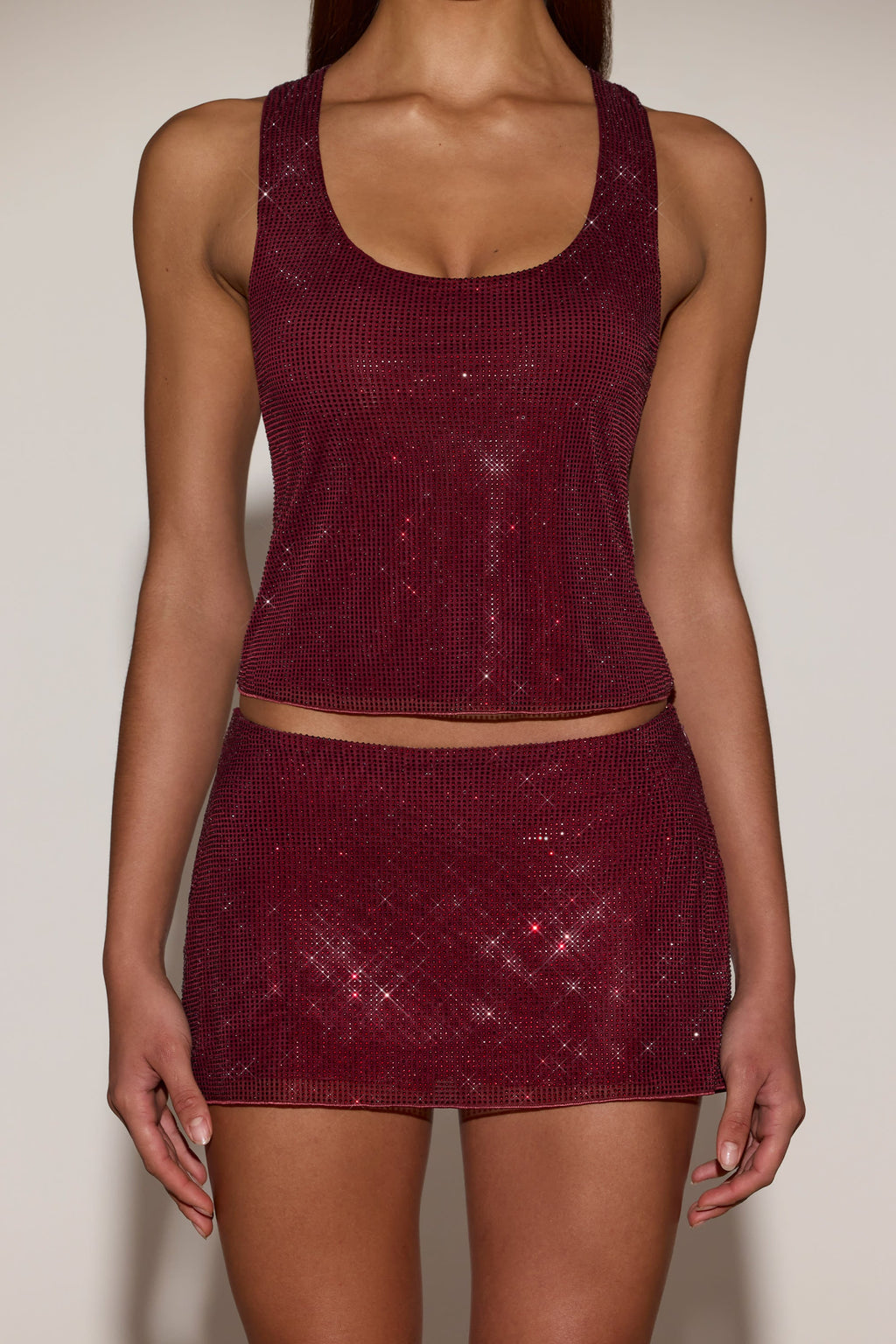 Embellished A-Line Mini Skirt in Burgundy