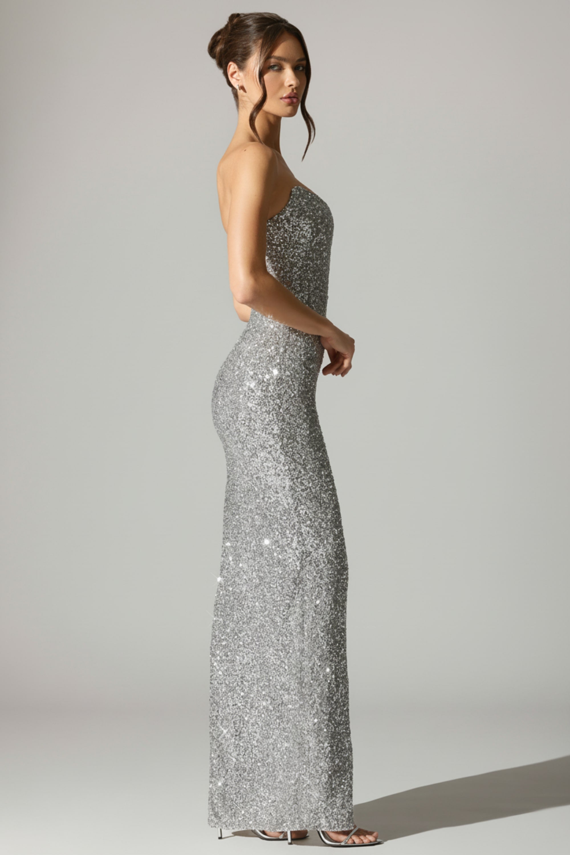 Embellished Corset Gown in Silver