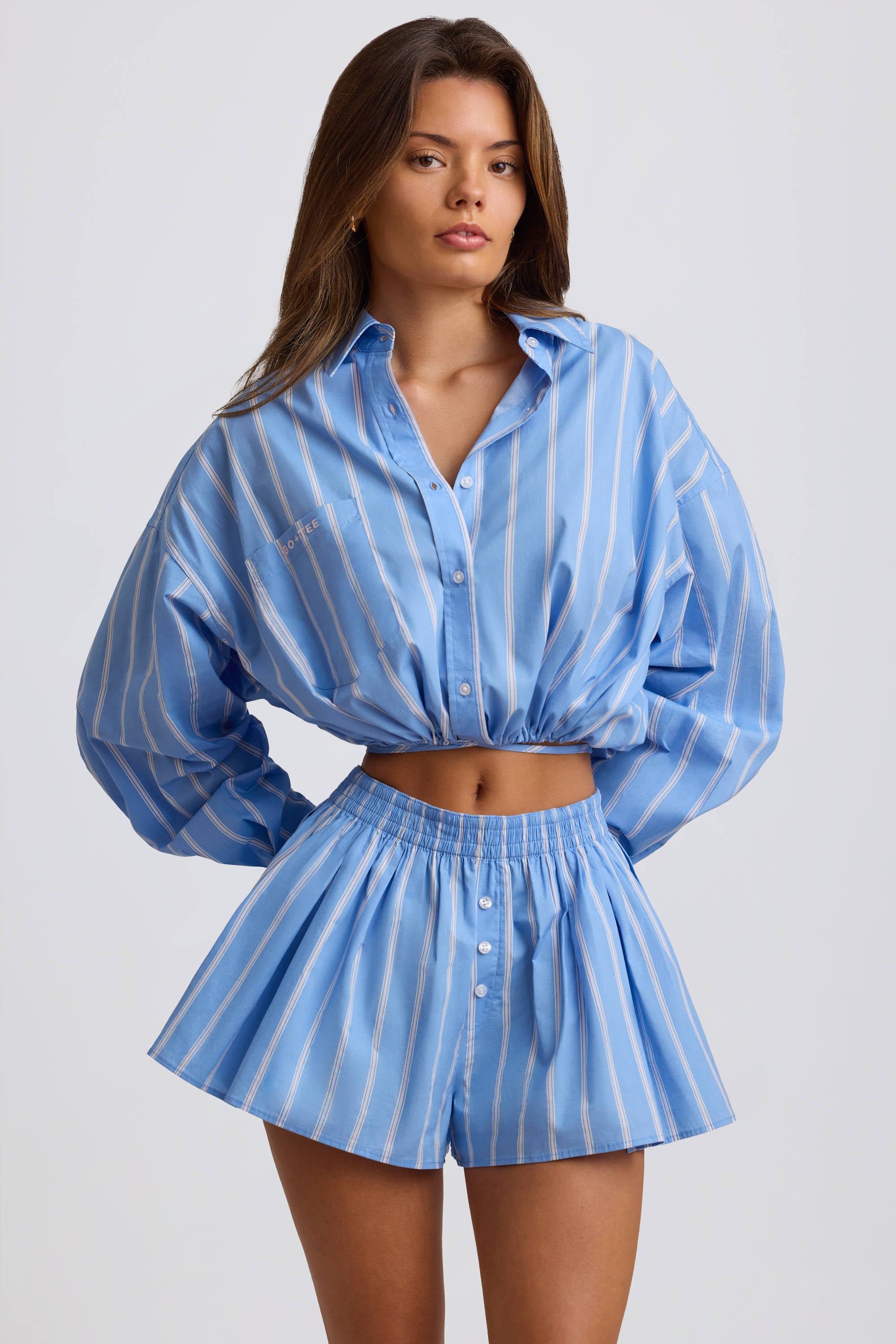 Cotton Poplin Stripe Pleated Shorts in Blue Stripe